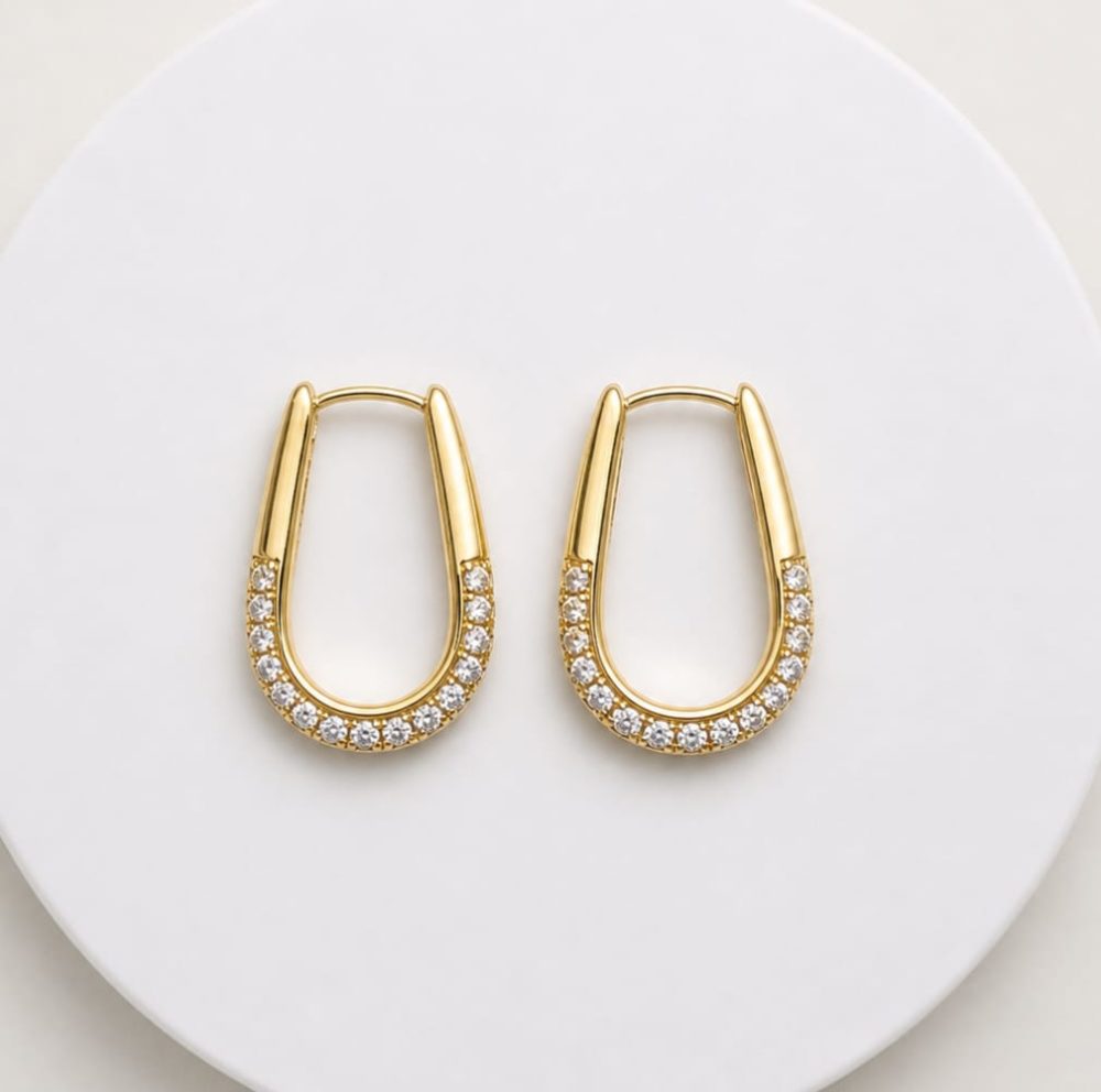 Brinco Argola Microzircônias